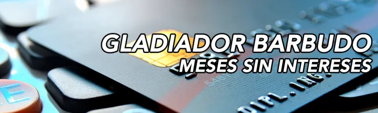 Ue meses sin intereses en todos nuestros productos: guía útil